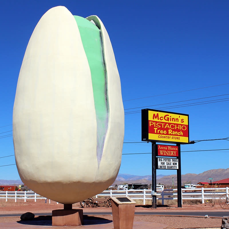 World's largest pistachio