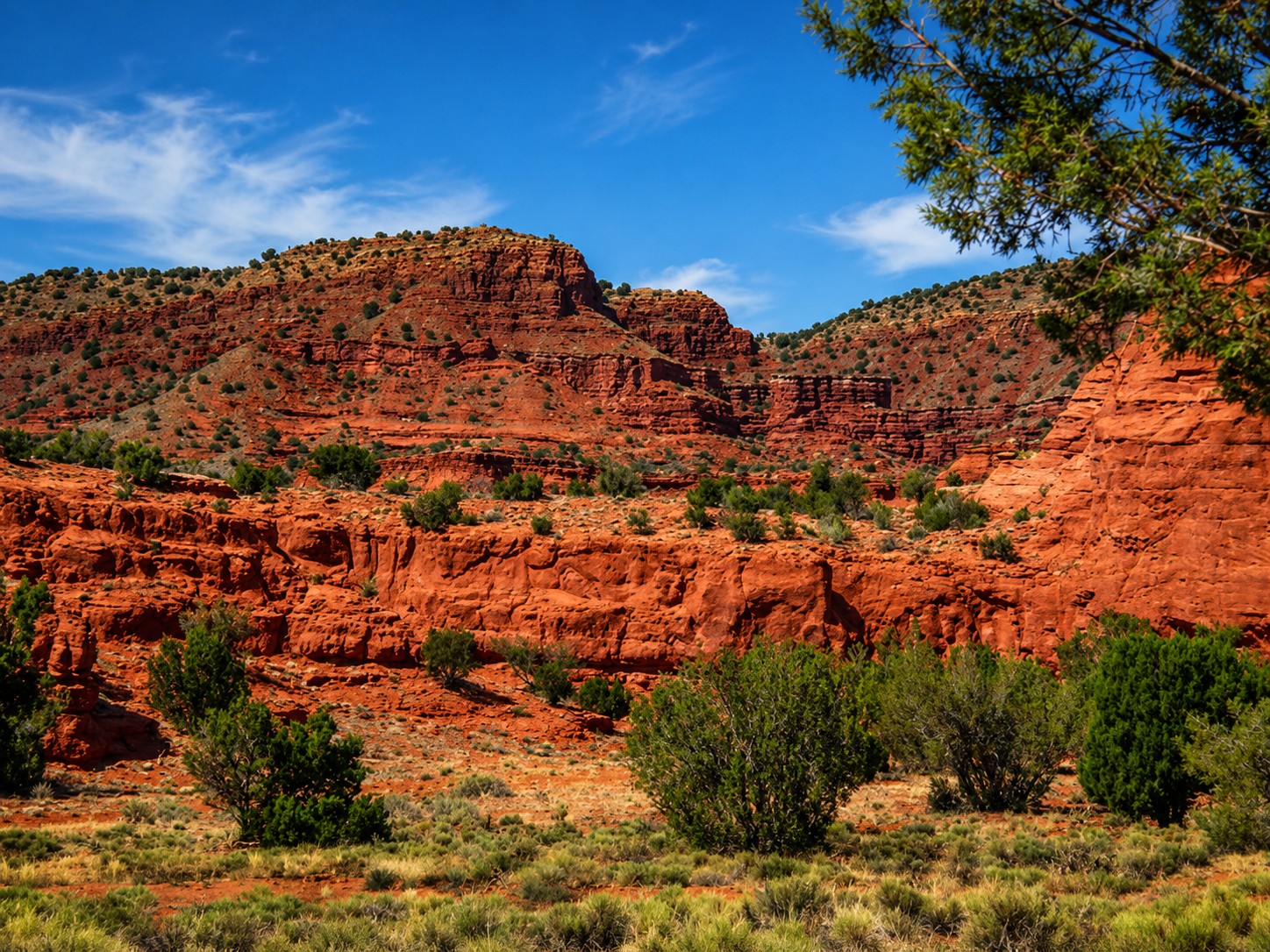 Jemez landscape