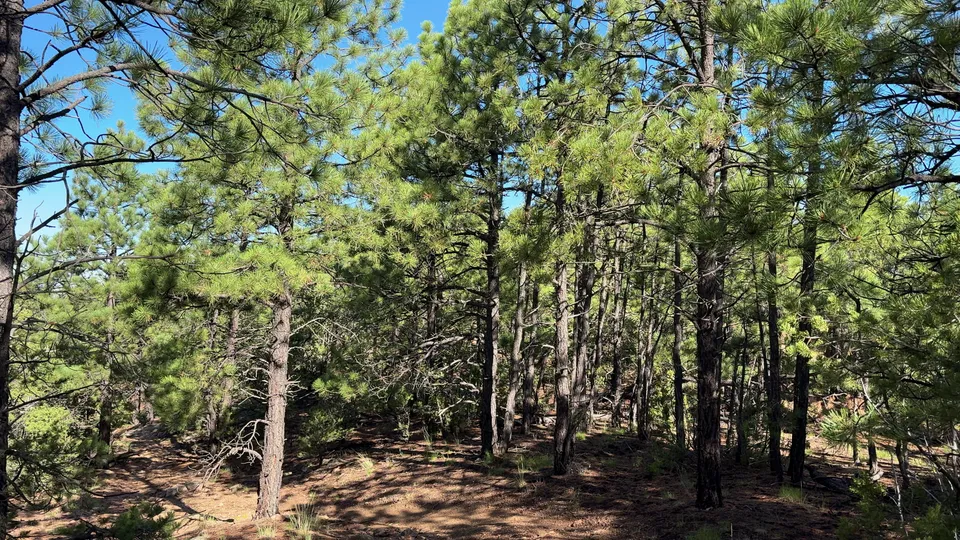 Photograph of Atalaya6 at Atalaya Mountain, New Mexico.
