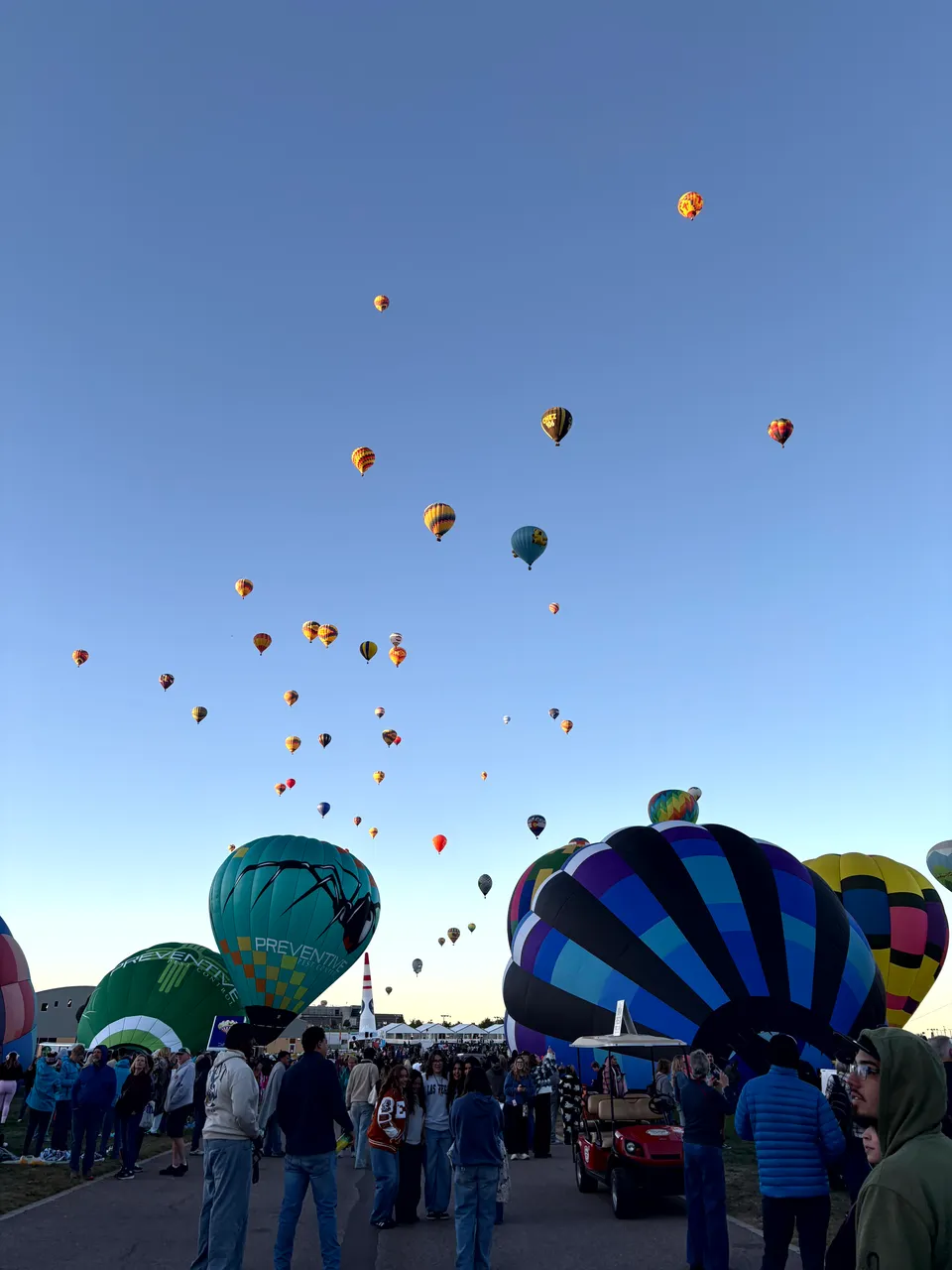 Photograph of Balloon Fiesta2 at Albuquerque, New Mexico.