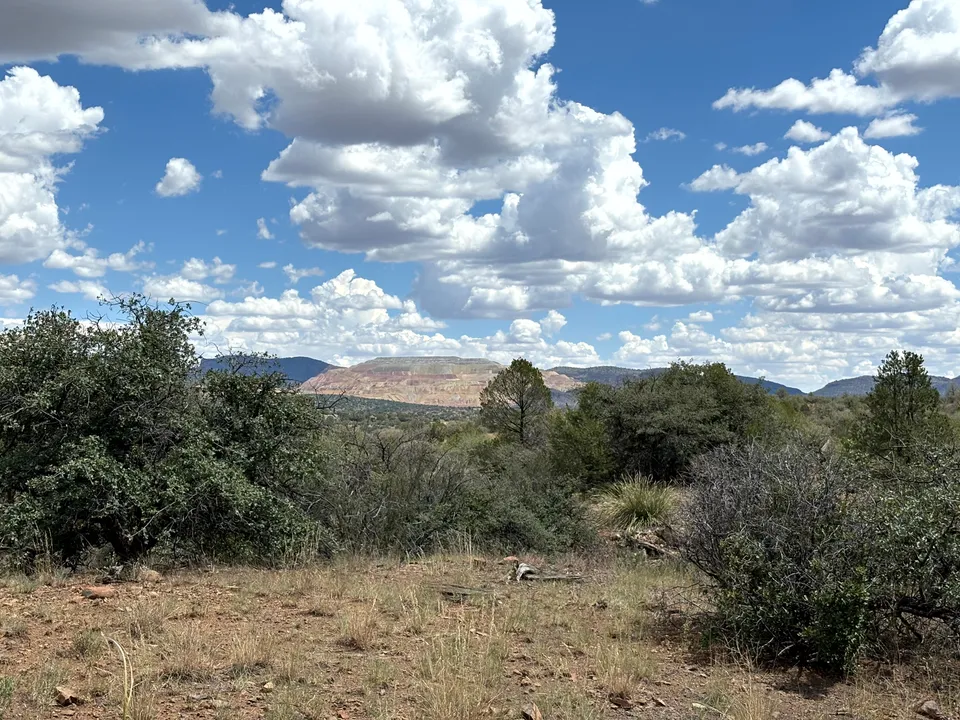 Photograph of Chino at Dragonfly Petroglyph Site, New Mexico.