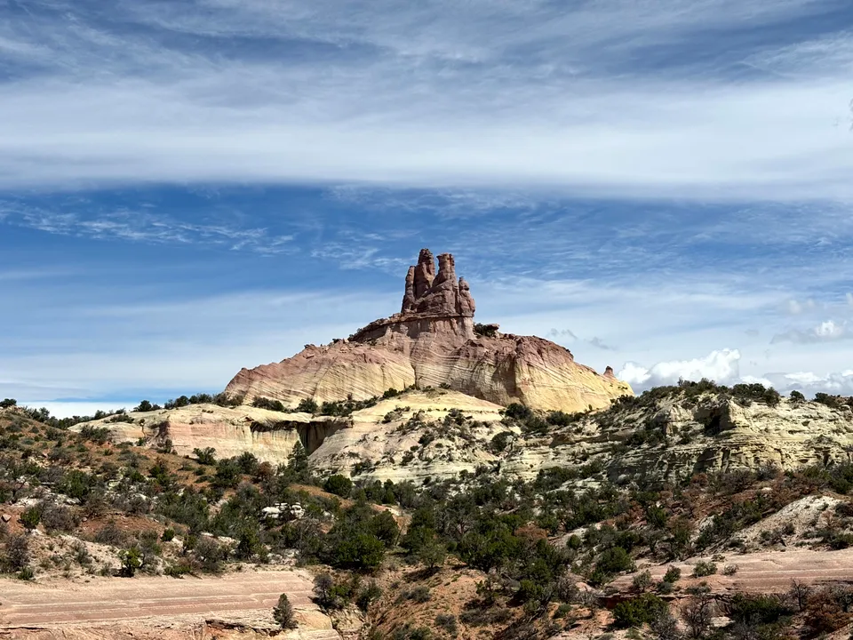 Wildflowers in Red Rock Park
