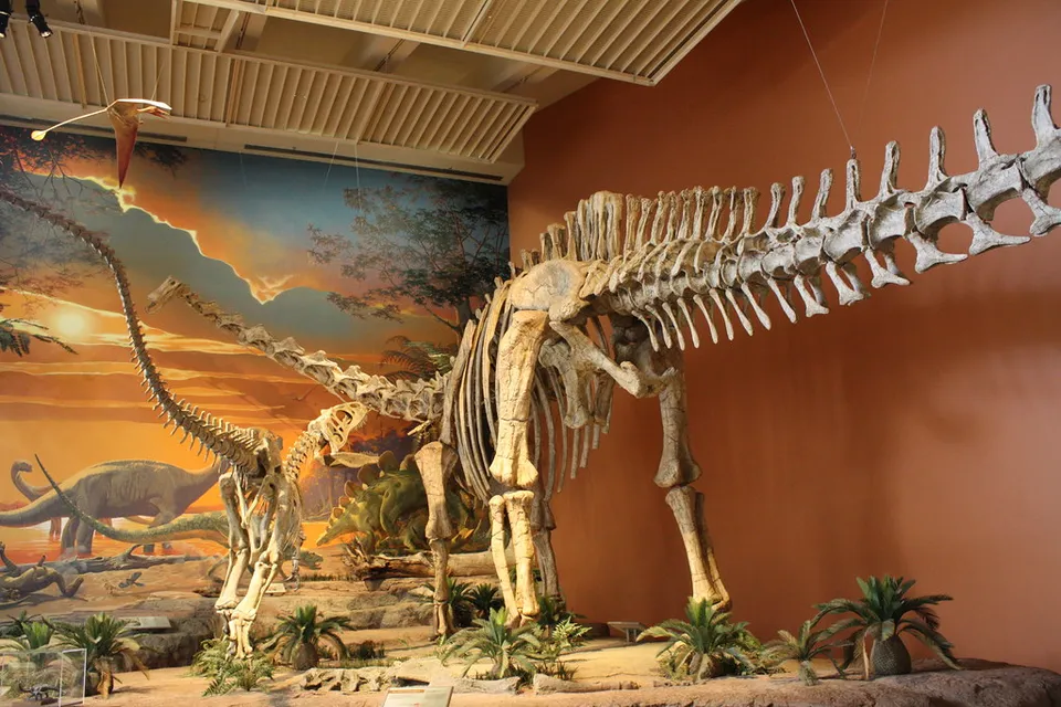 Photograph of Dino at Ojito Wilderness Hoodoos, New Mexico.