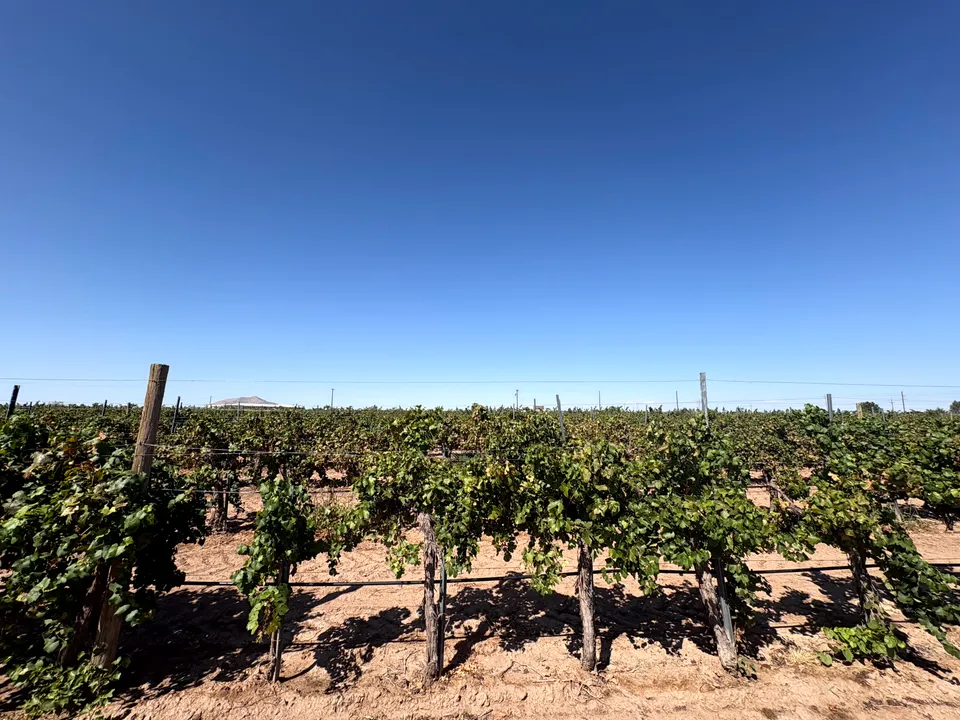 Luna Rossa Winery & Tasting Room in Deming