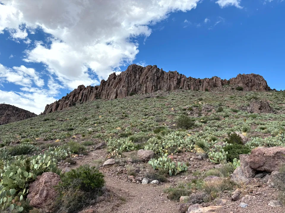 Rock formations at Rockhound State Park