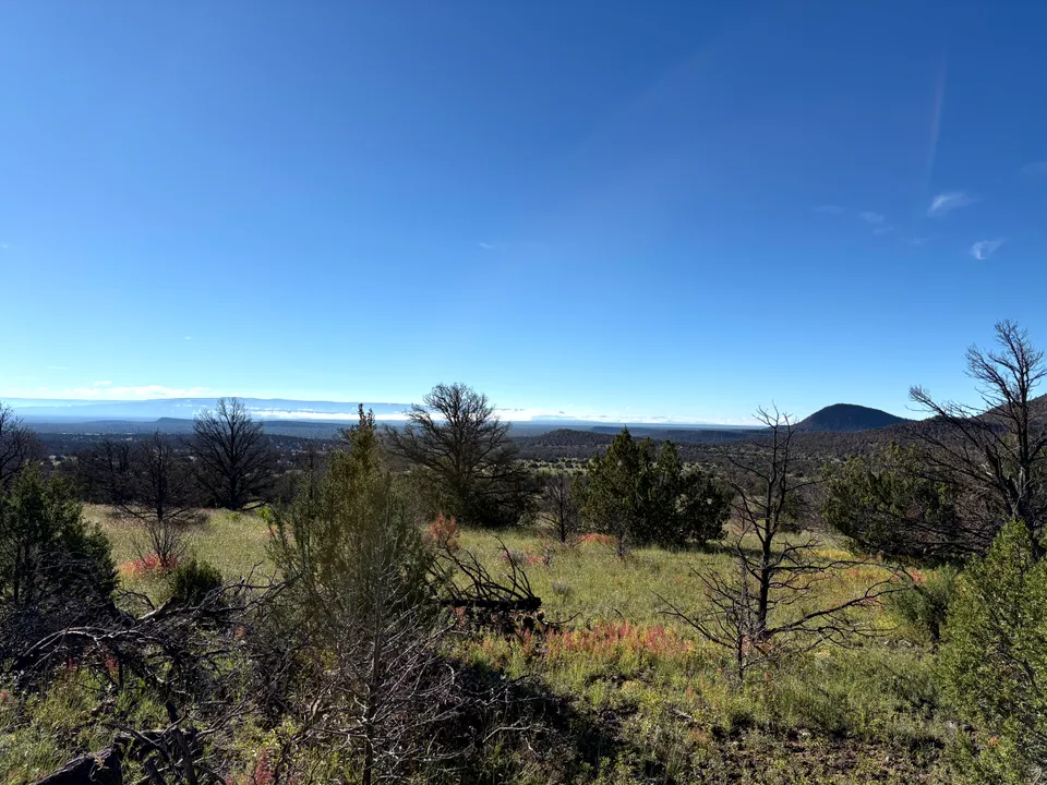 El Calderon cinder cone