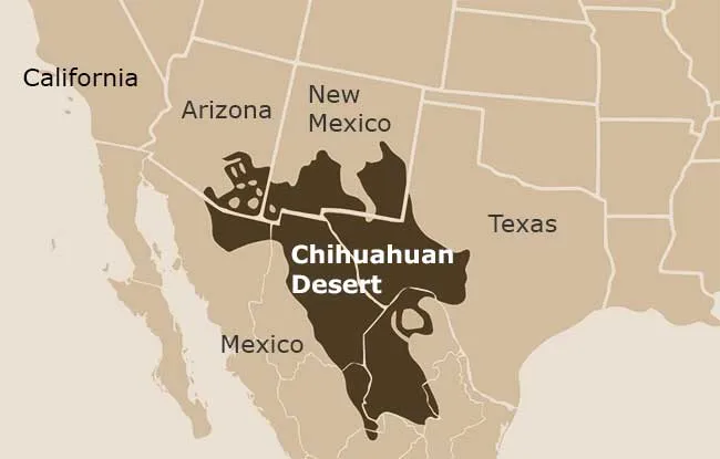 Photograph of Map at Chihuahuan Desert, New Mexico.