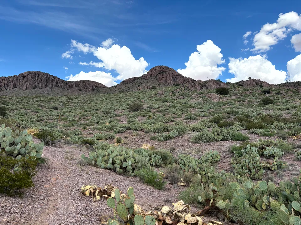 Rockhound State Park
