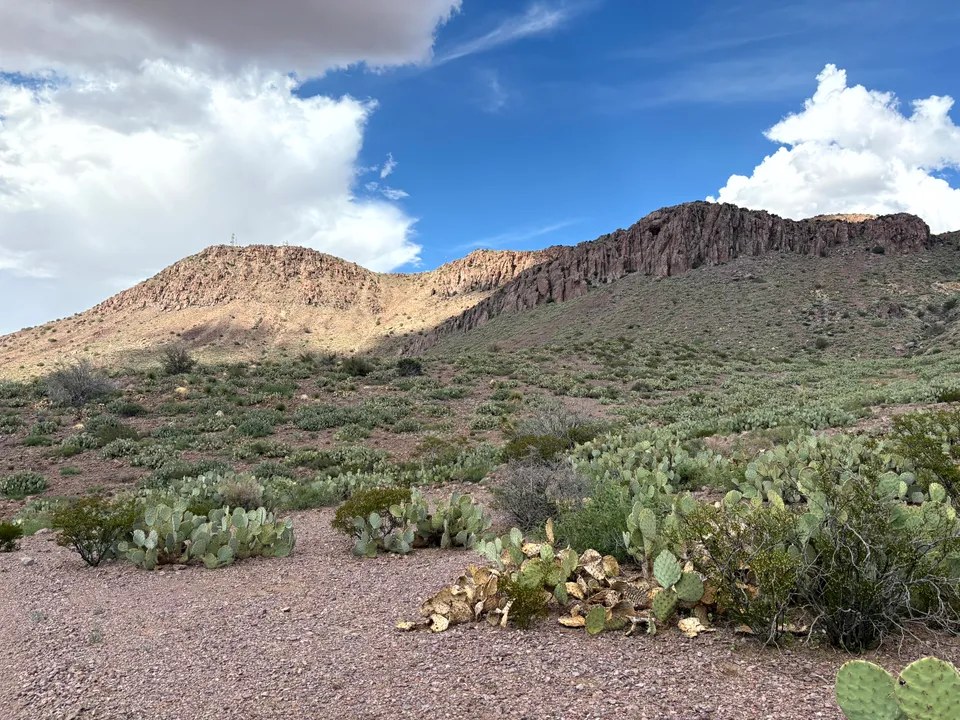 Desert scenery at Rockhound State Park