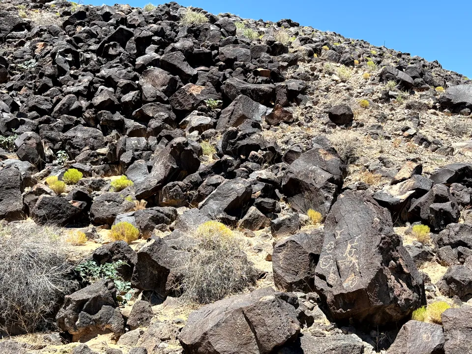 Photograph of Petroglyph Nat5 at Petroglyph National Monument, New Mexico.