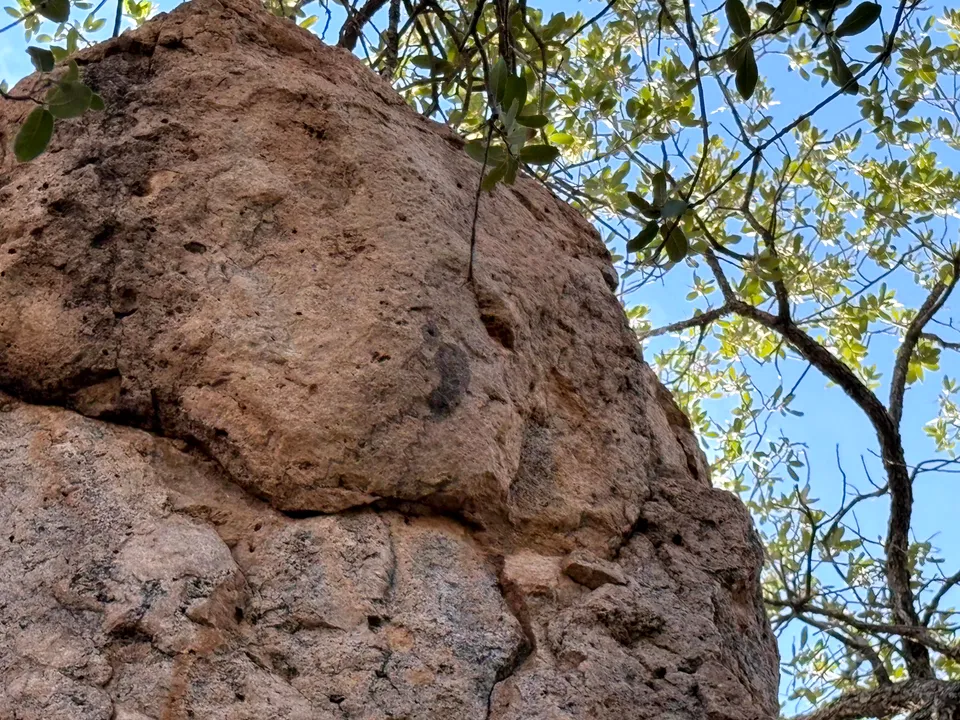 Petroglyph at City of Rocks State Park