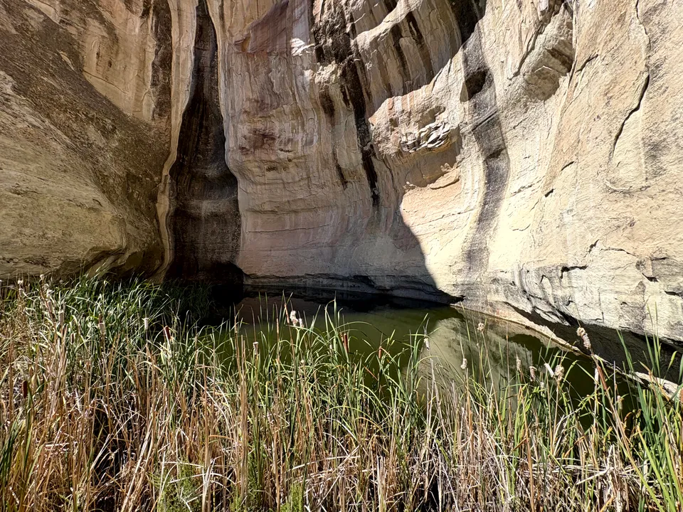 Photograph of Pool at El Morro National Monument, New Mexico.