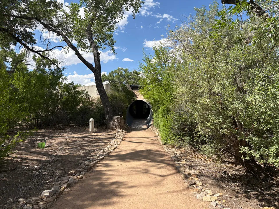 Photograph of Rio Grande State Park2 at Rio Grande Nature Center State Park, New Mexico.