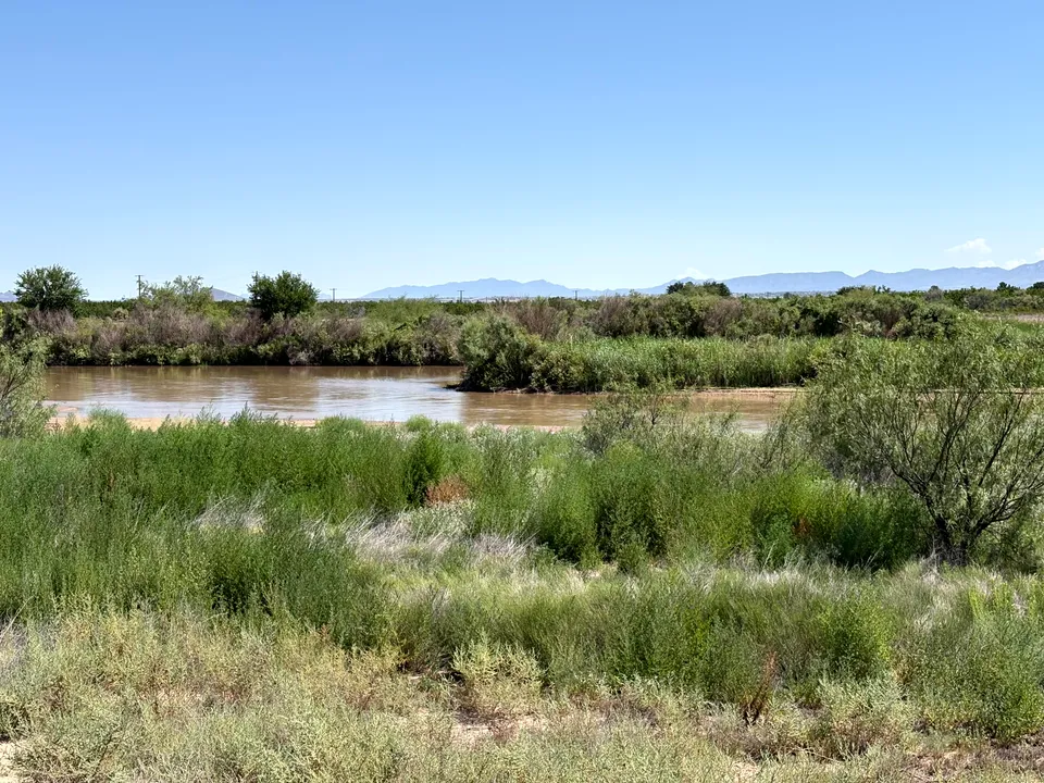 Photograph of River at Mesilla Valley Bosque State Park, New Mexico.