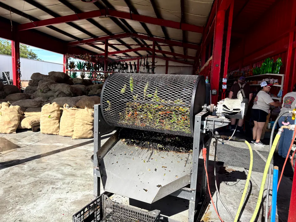 Photograph of Roaster at Hatch, New Mexico.