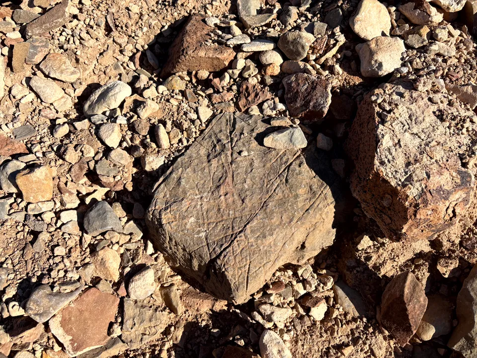 Photograph of Tracks at Prehistoric Trackways National Monument, New Mexico.