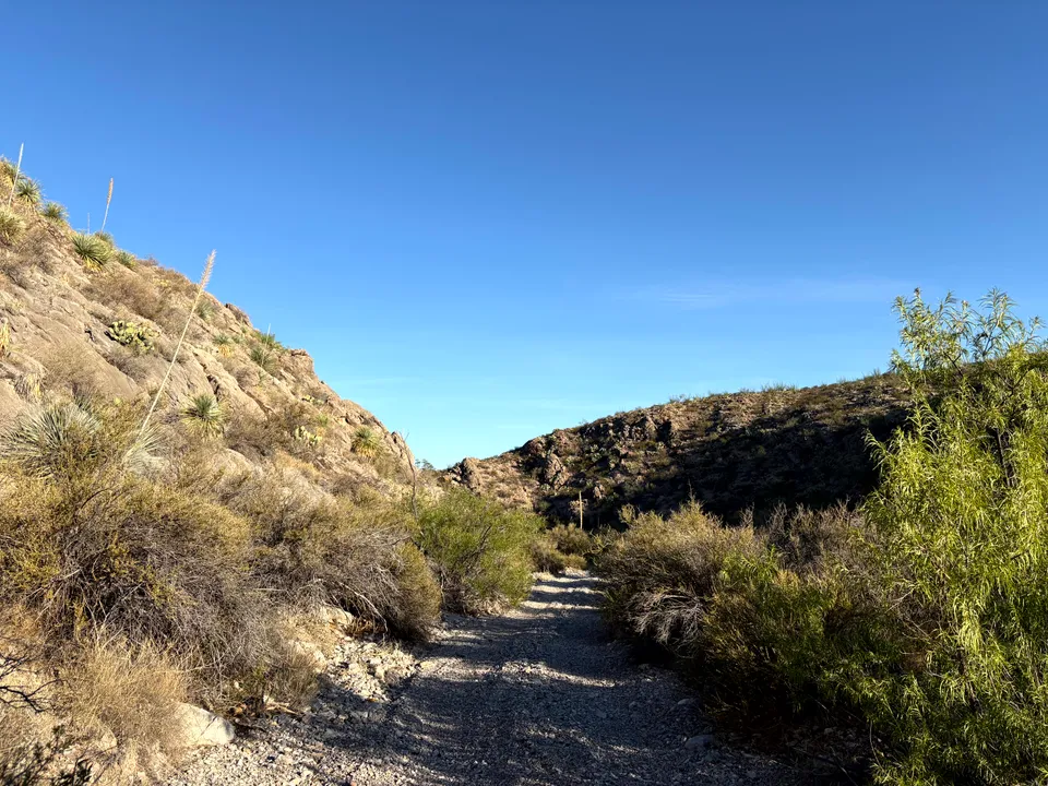 Photograph of Trail at Turtleback Mountain, New Mexico.