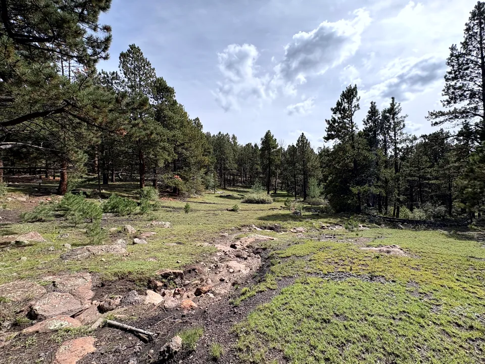 Trail on Mount Taylor