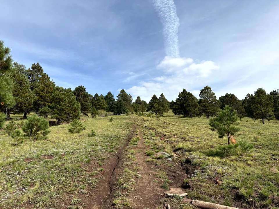 Trail