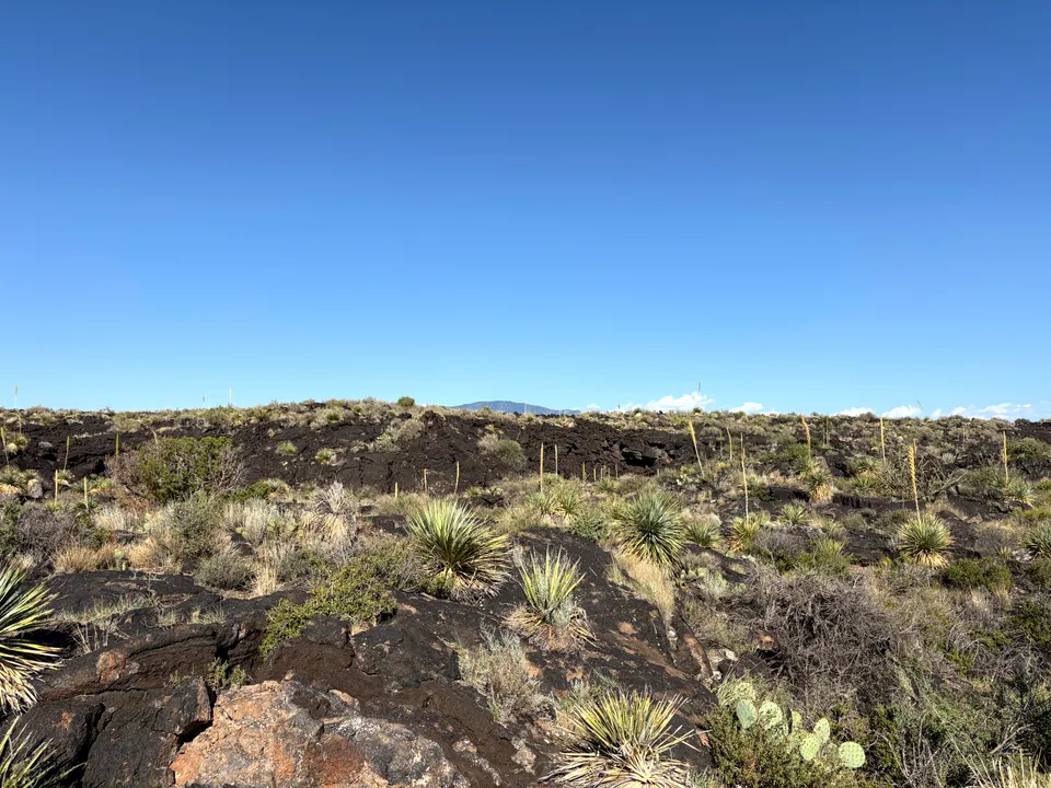 Valley of Fires lava field