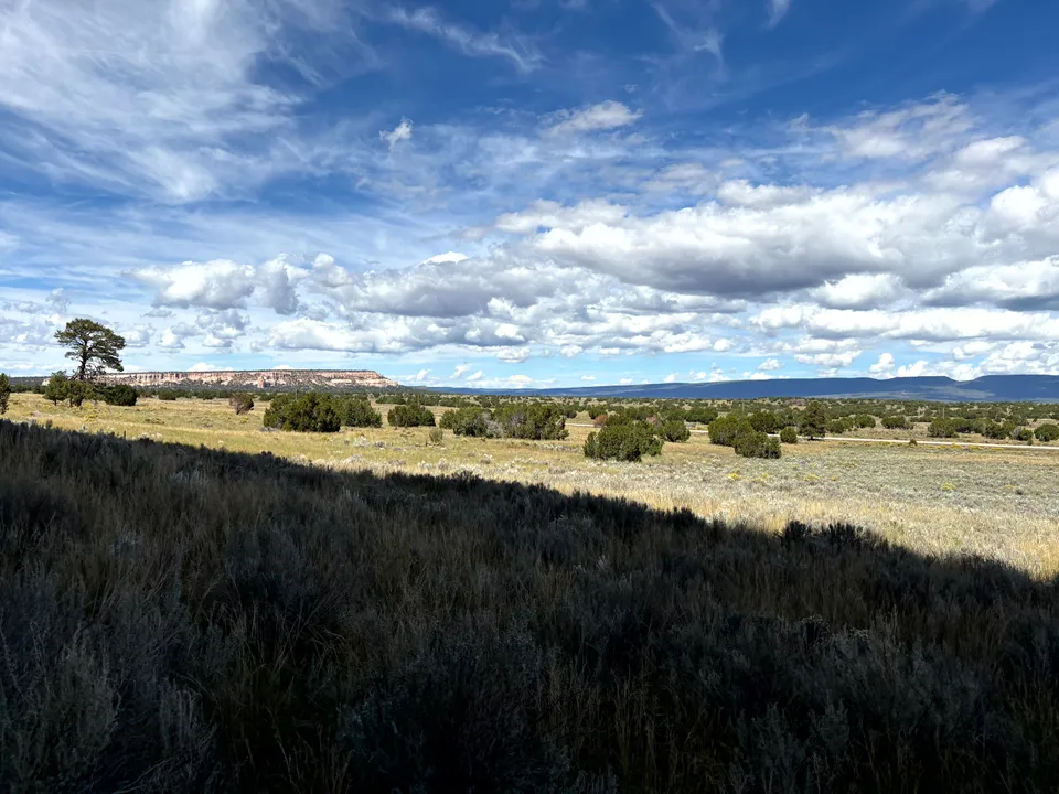 Petroglyphs at El Morro National Monument