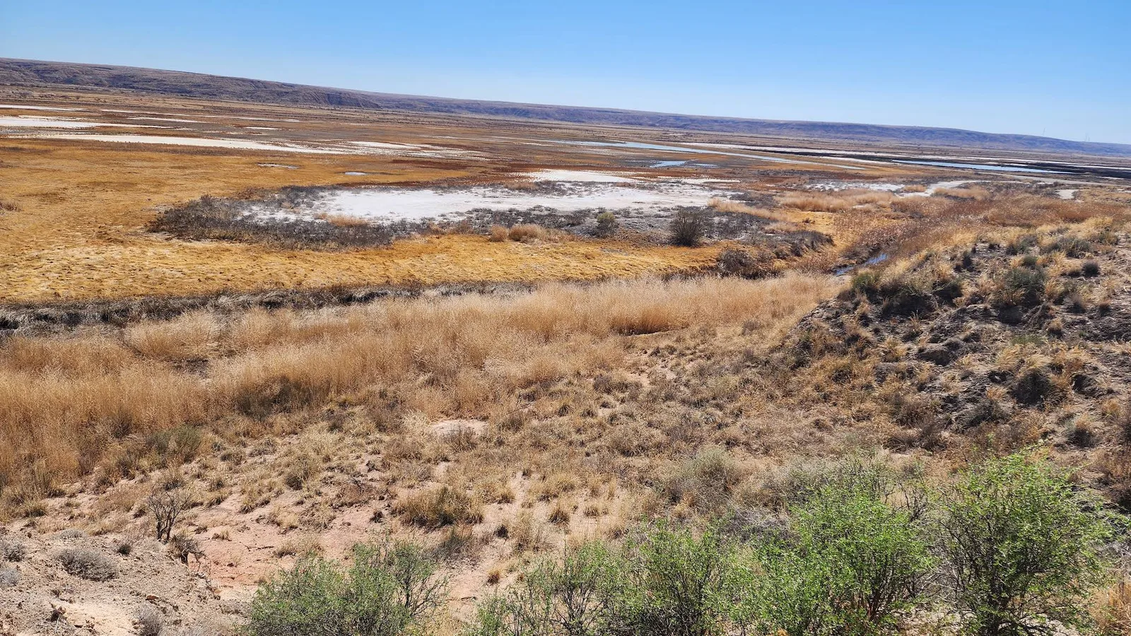 Scenic view of Bitter Lake National Wildlife Refuge