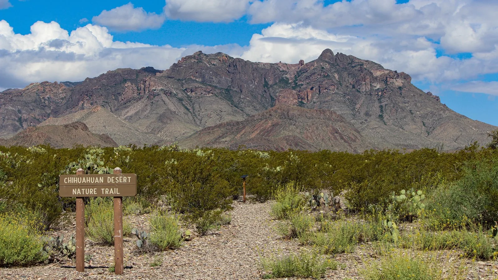 Scenic view of Chihuahuan Desert