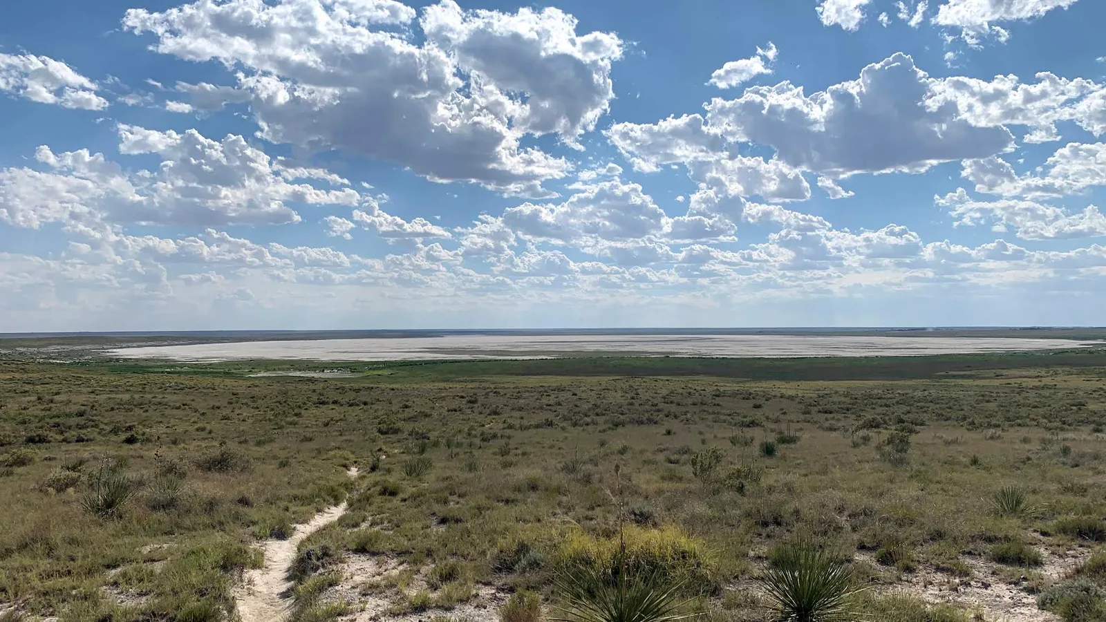 Scenic view of Grulla National Wildlife Refuge