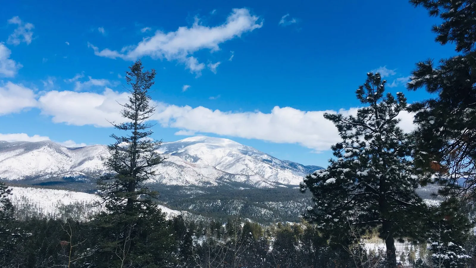 Scenic view of Jemez Mountains