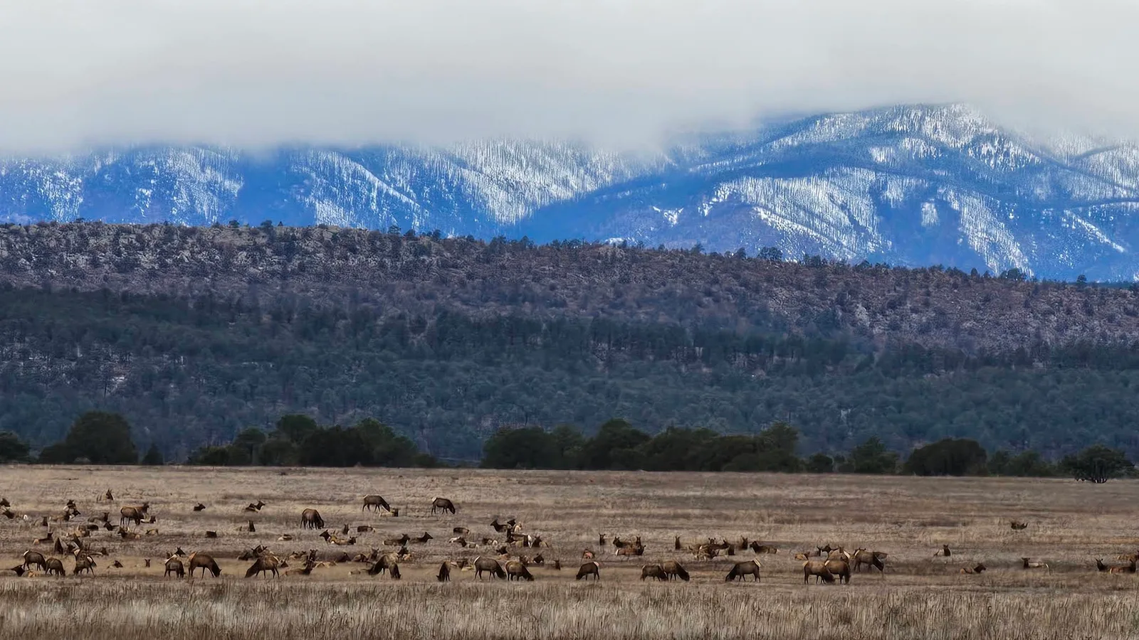 Scenic view of Las Vegas National Wildlife Refuge