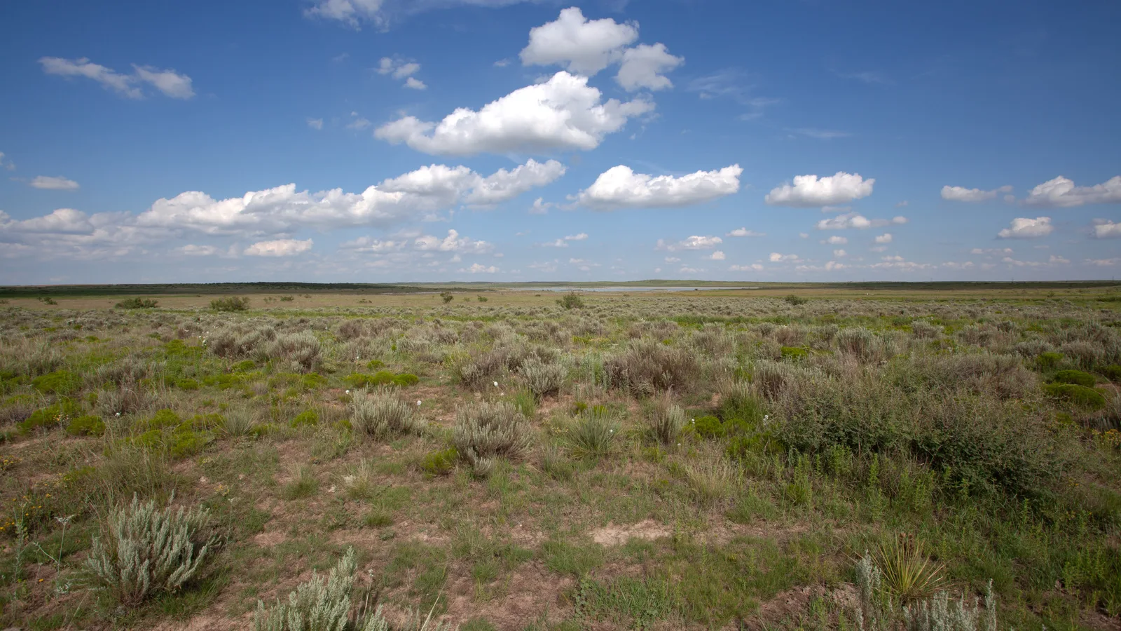 Scenic view of Llano Estacado