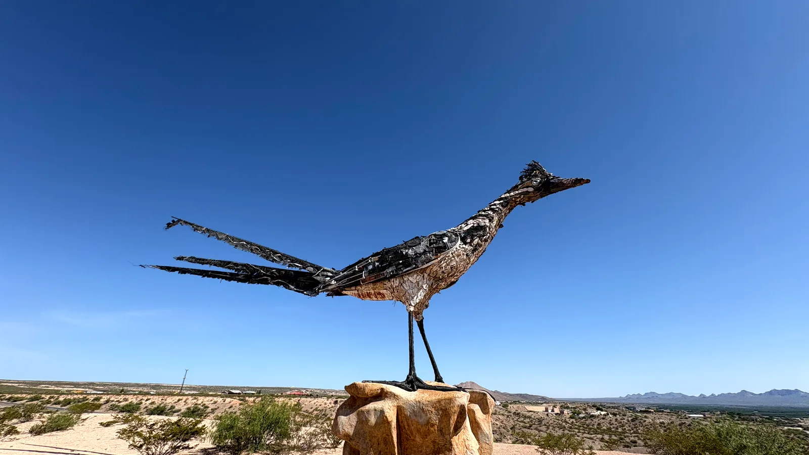 Scenic view of Massive Roadrunner