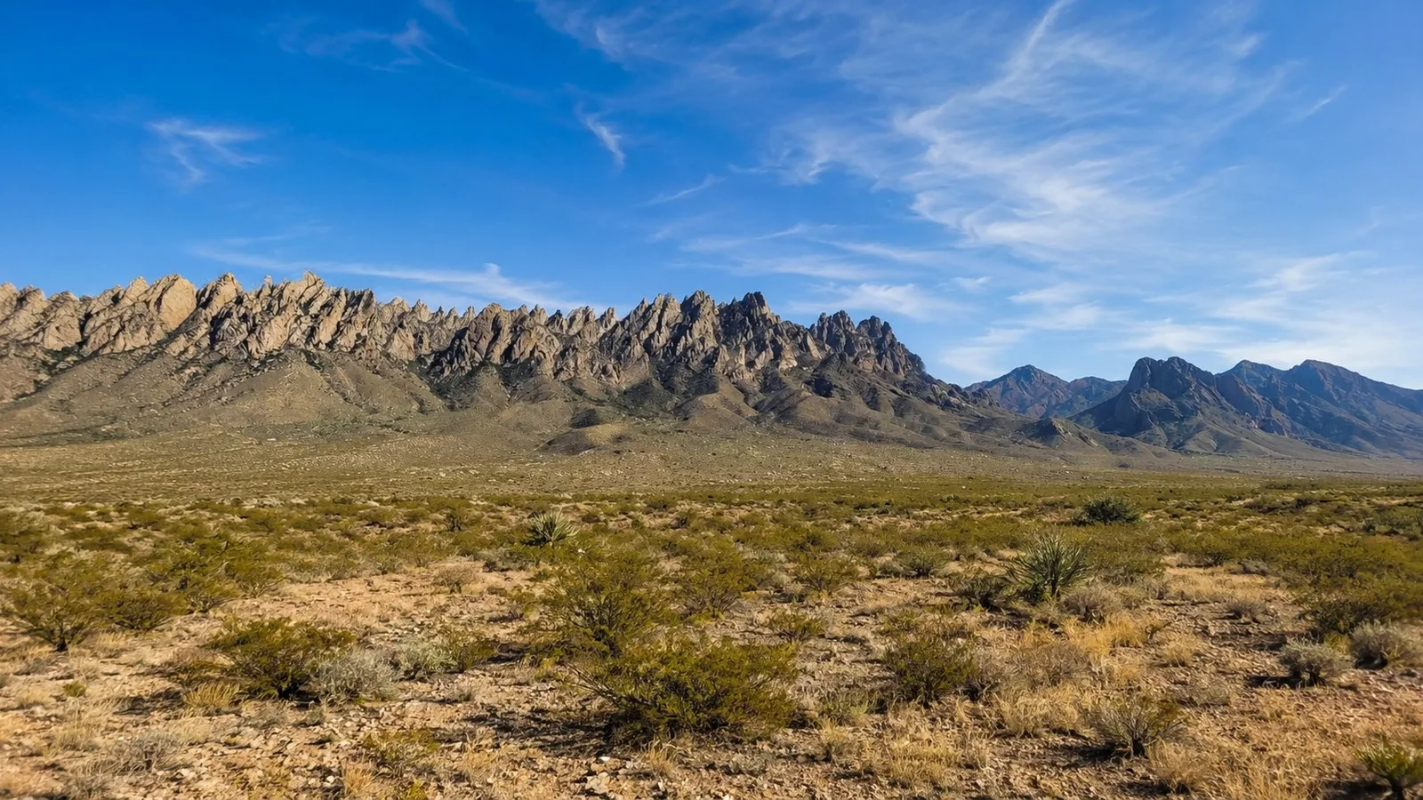 Scenic view of Organ Desert Peaks National Monument