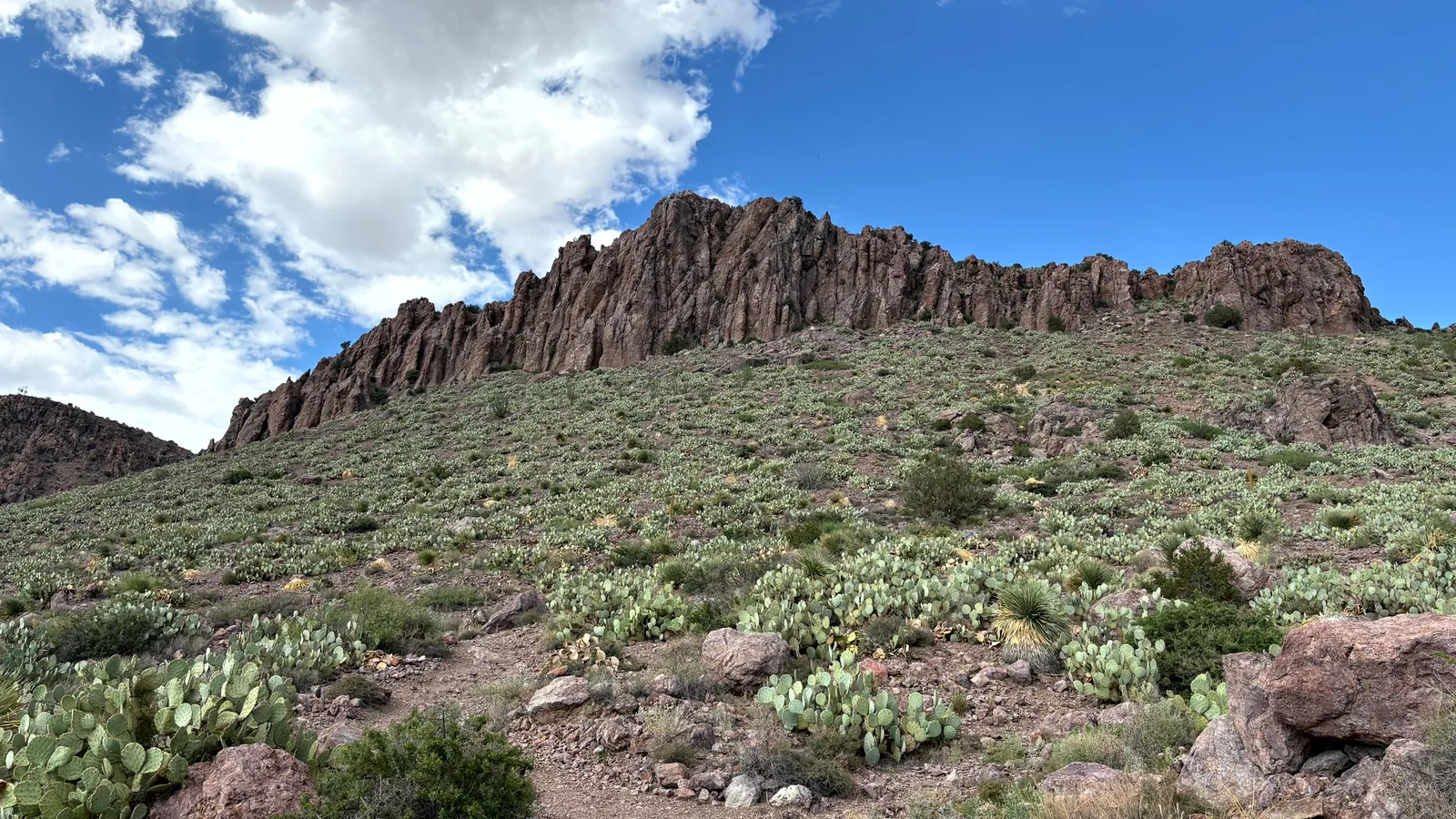 Scenic view of Rockhound State Park