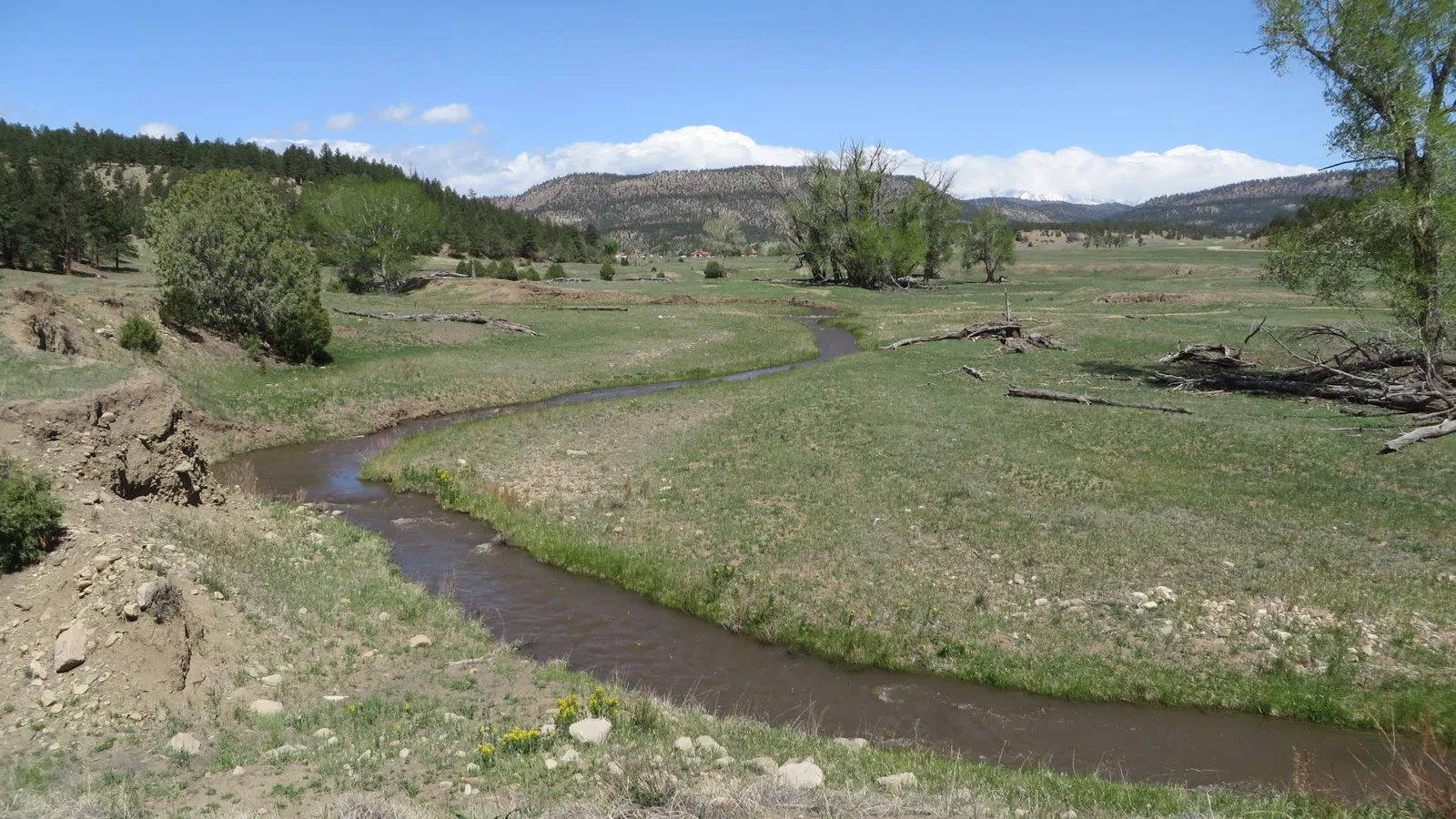 Scenic view of Vermejo Reserve