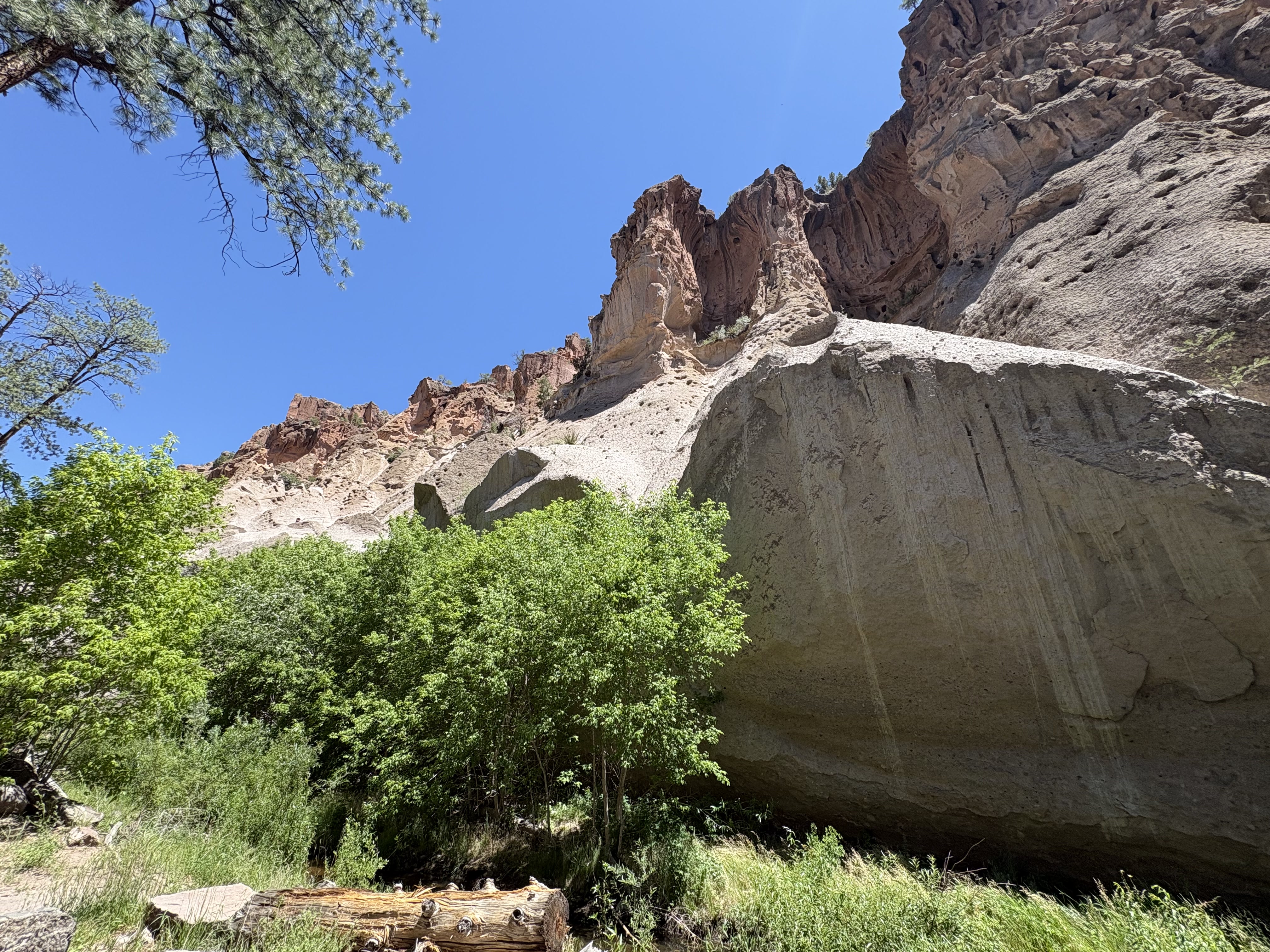 Volcanic landscape at Bandelier