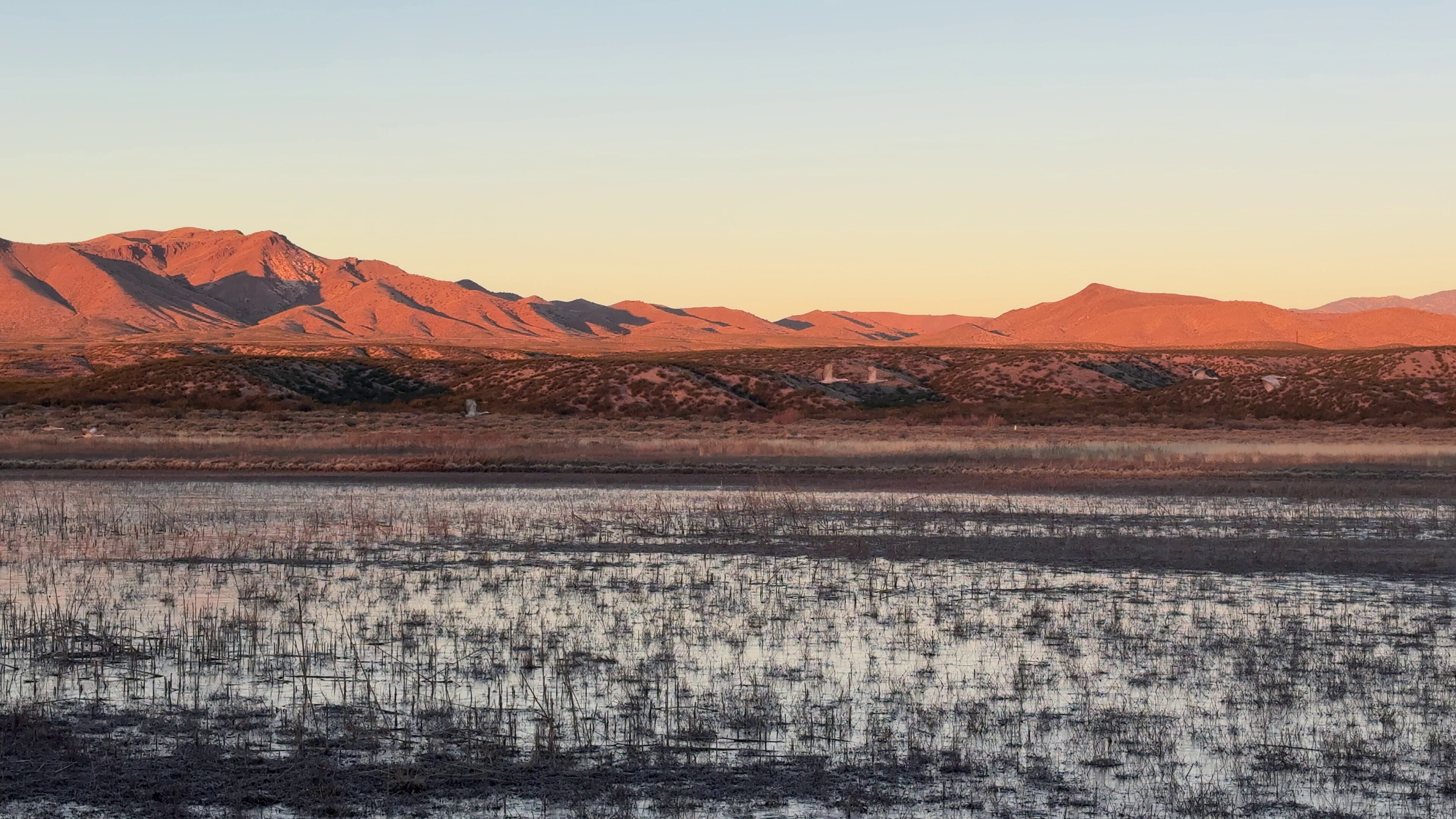 Bosque del Apache National Wildlife Refuge