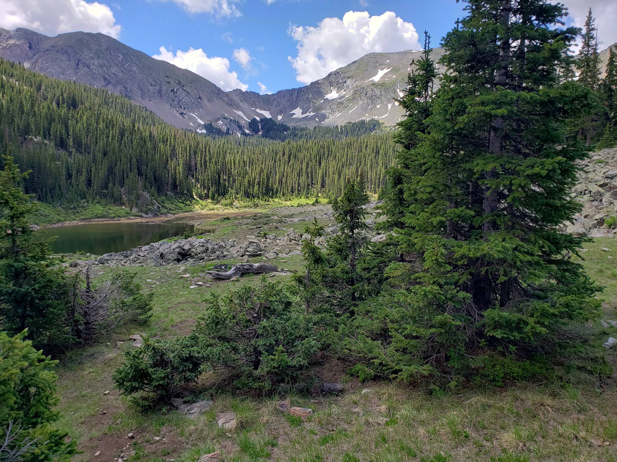 Scenic view of Carson National Forest