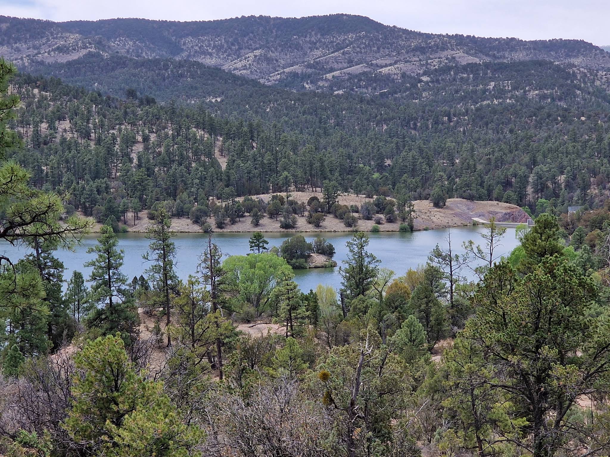 Scenic view of Gila National Forest