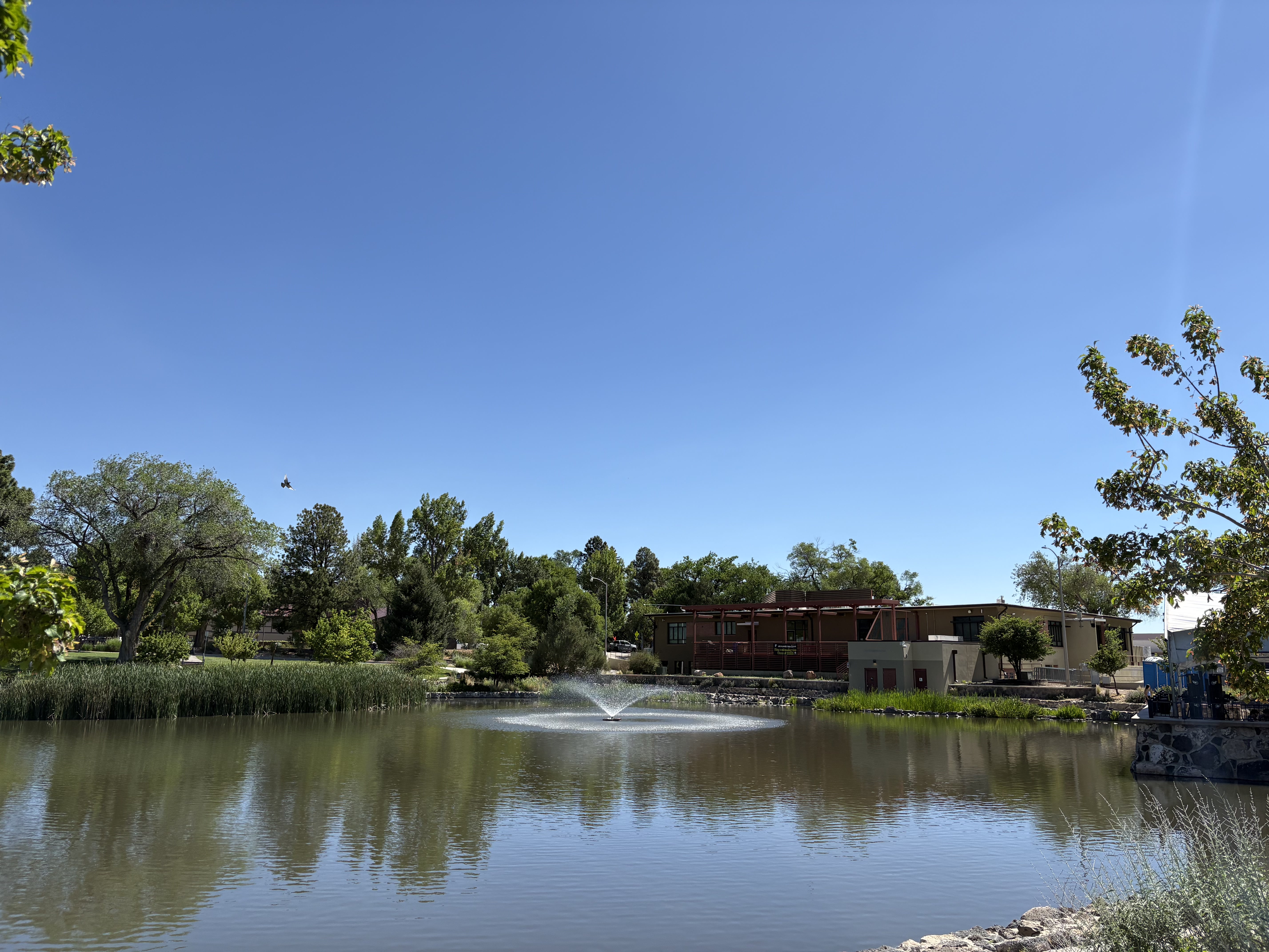 Ashley Pond in Los Alamos
