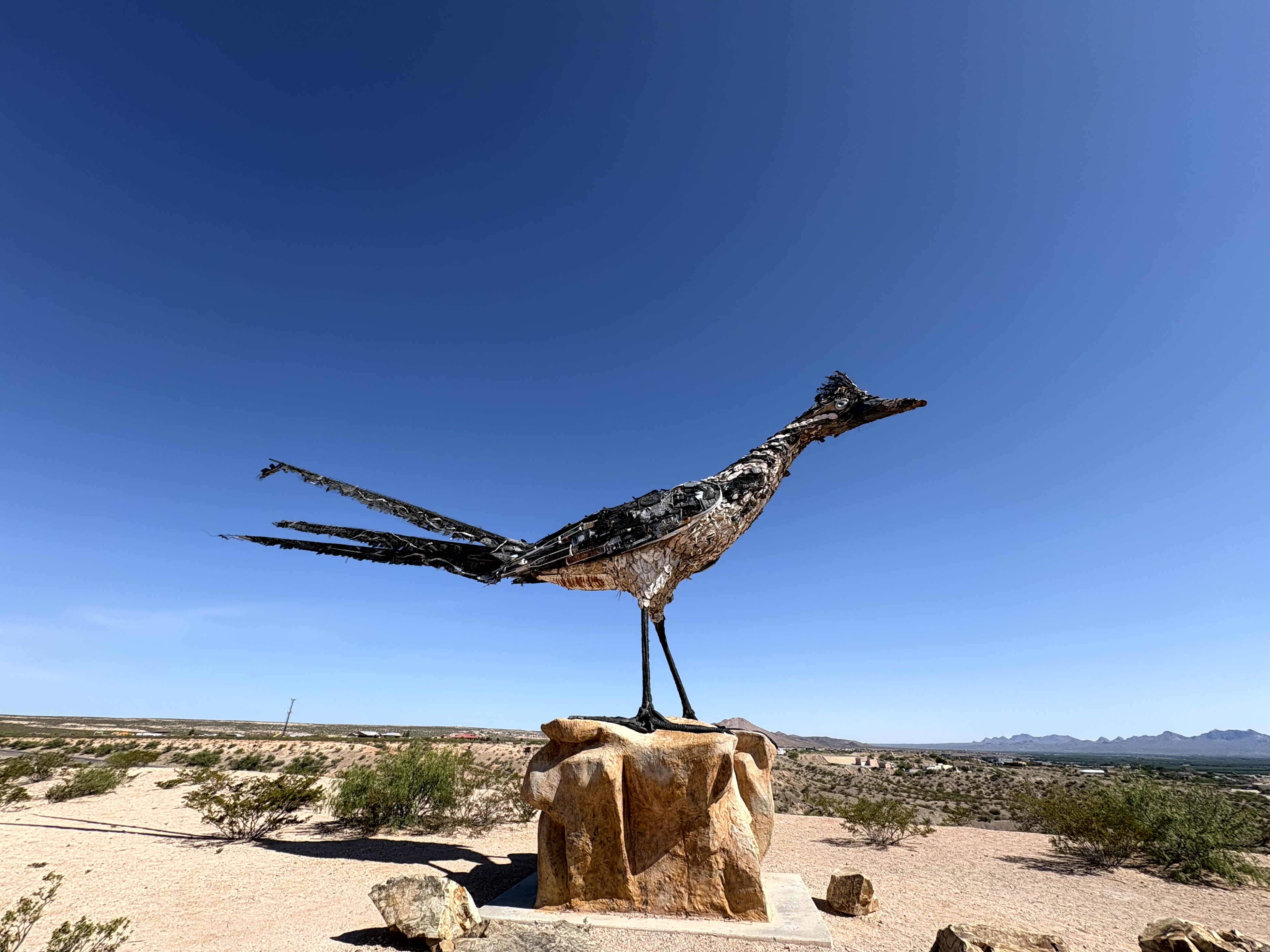 Scenic view of Massive Roadrunner