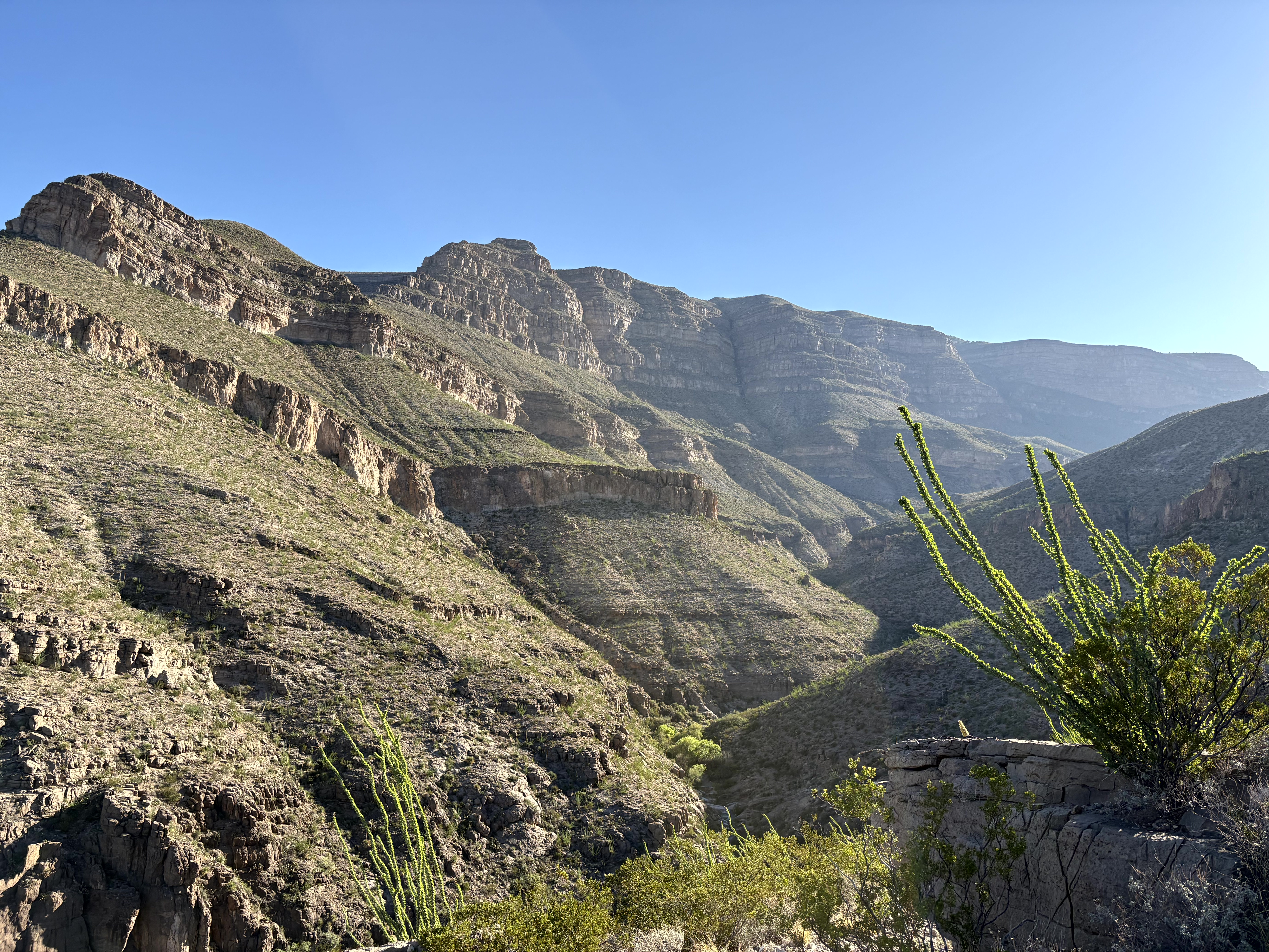 Scenic view of Oliver Lee Memorial State Park