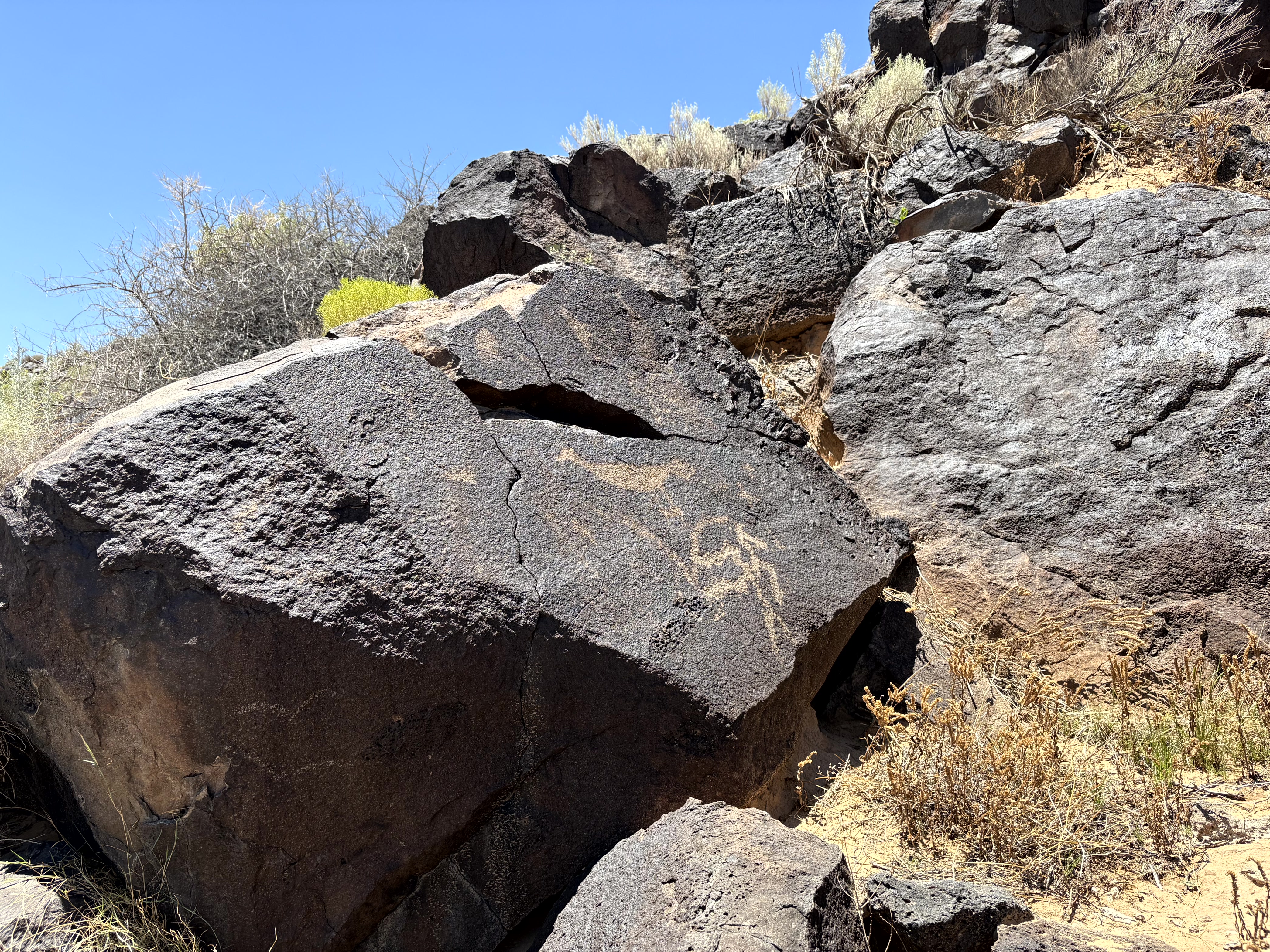 Scenic view of Petroglyph National Monument