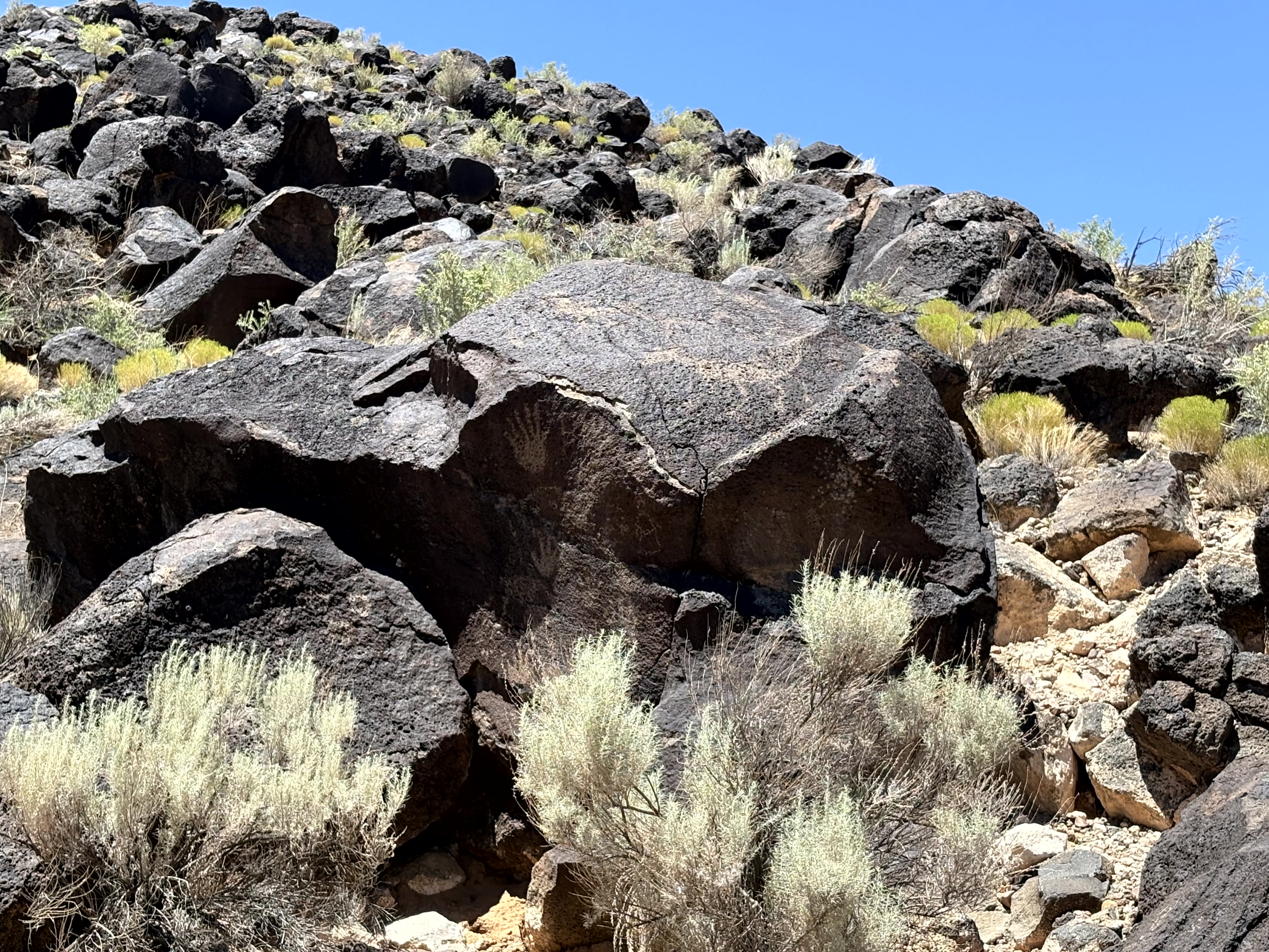 Piedras Marcadas Canyon petroglyphs in Albuquerque