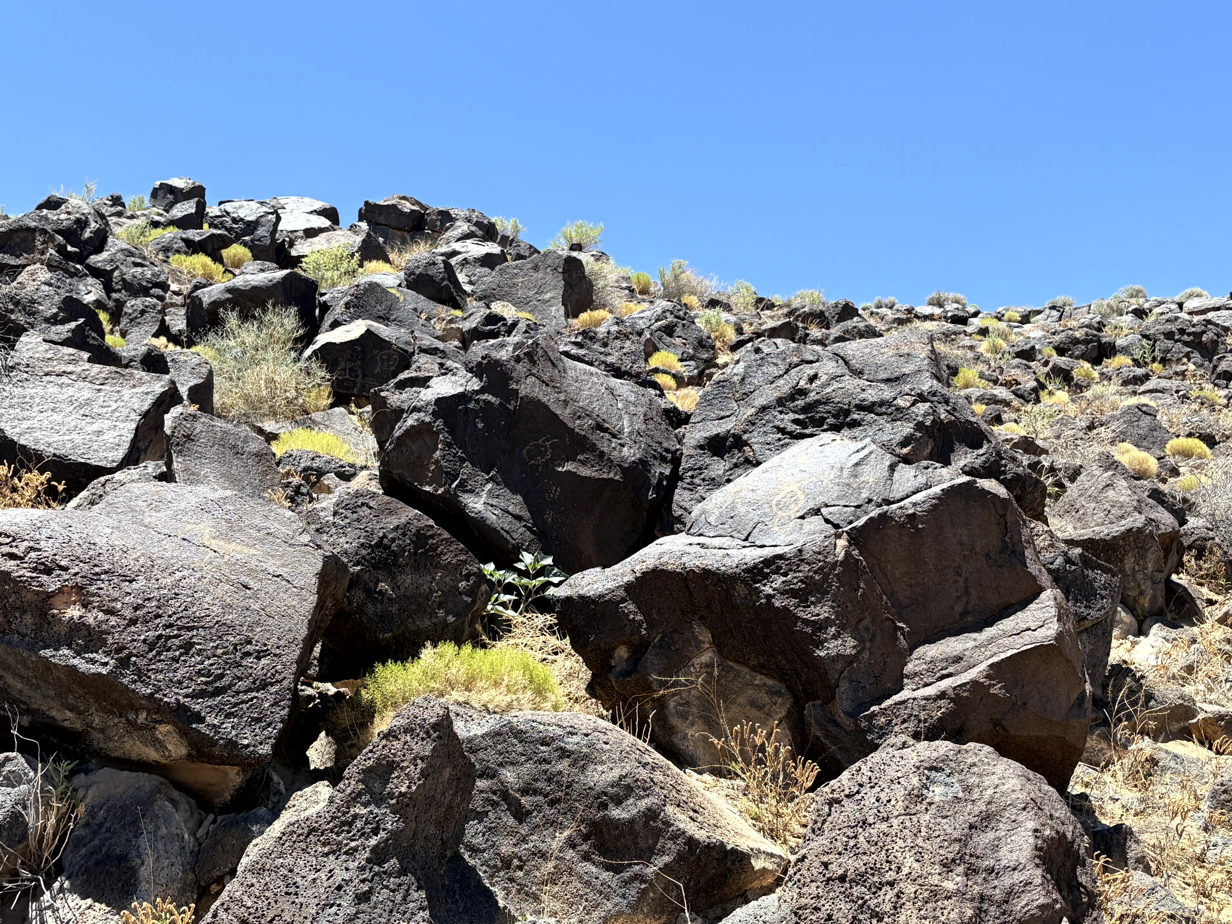Rinconada Canyon trail at Petroglyph National Monument