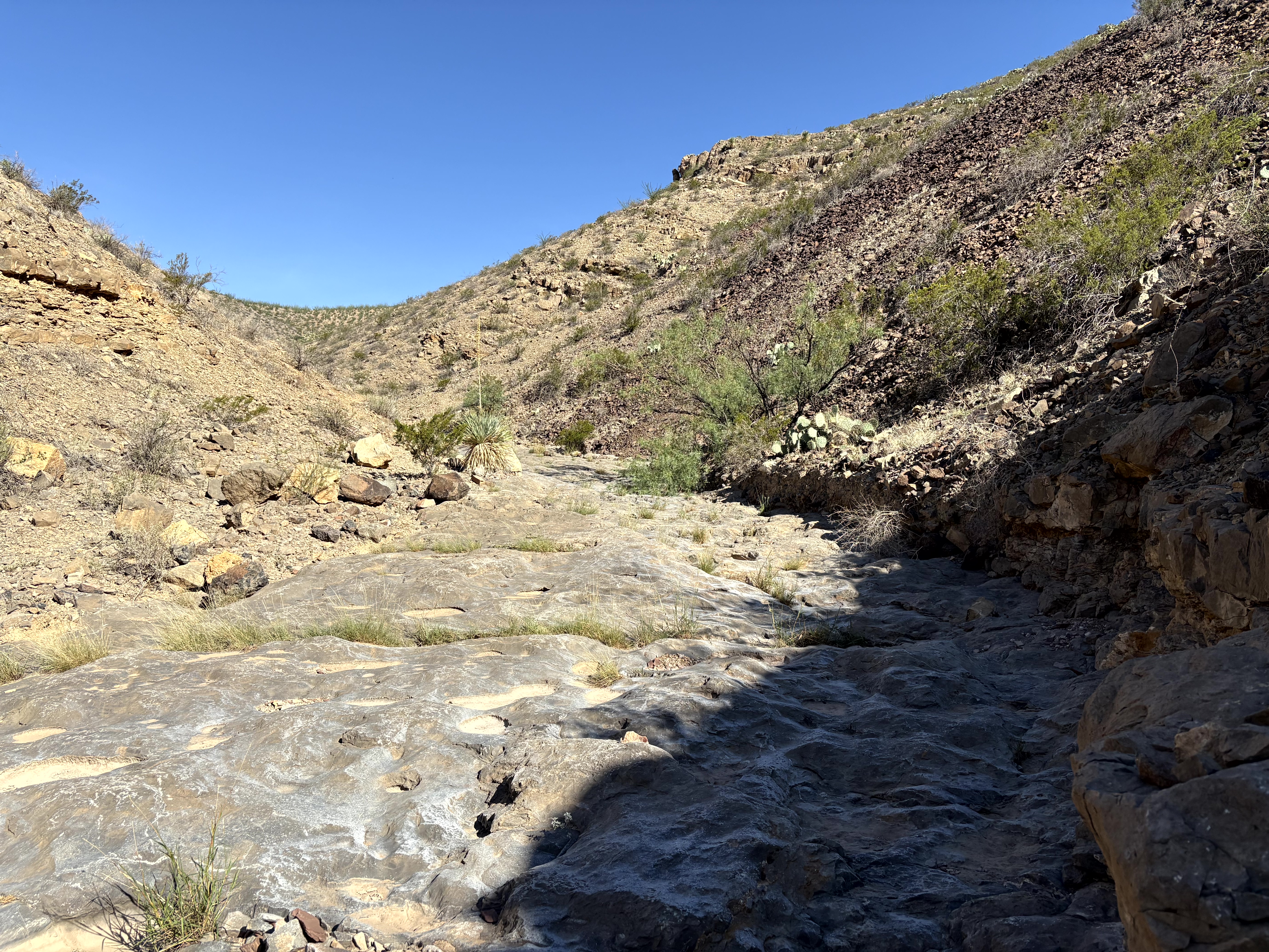 Scenic view of Prehistoric Trackways National Monument