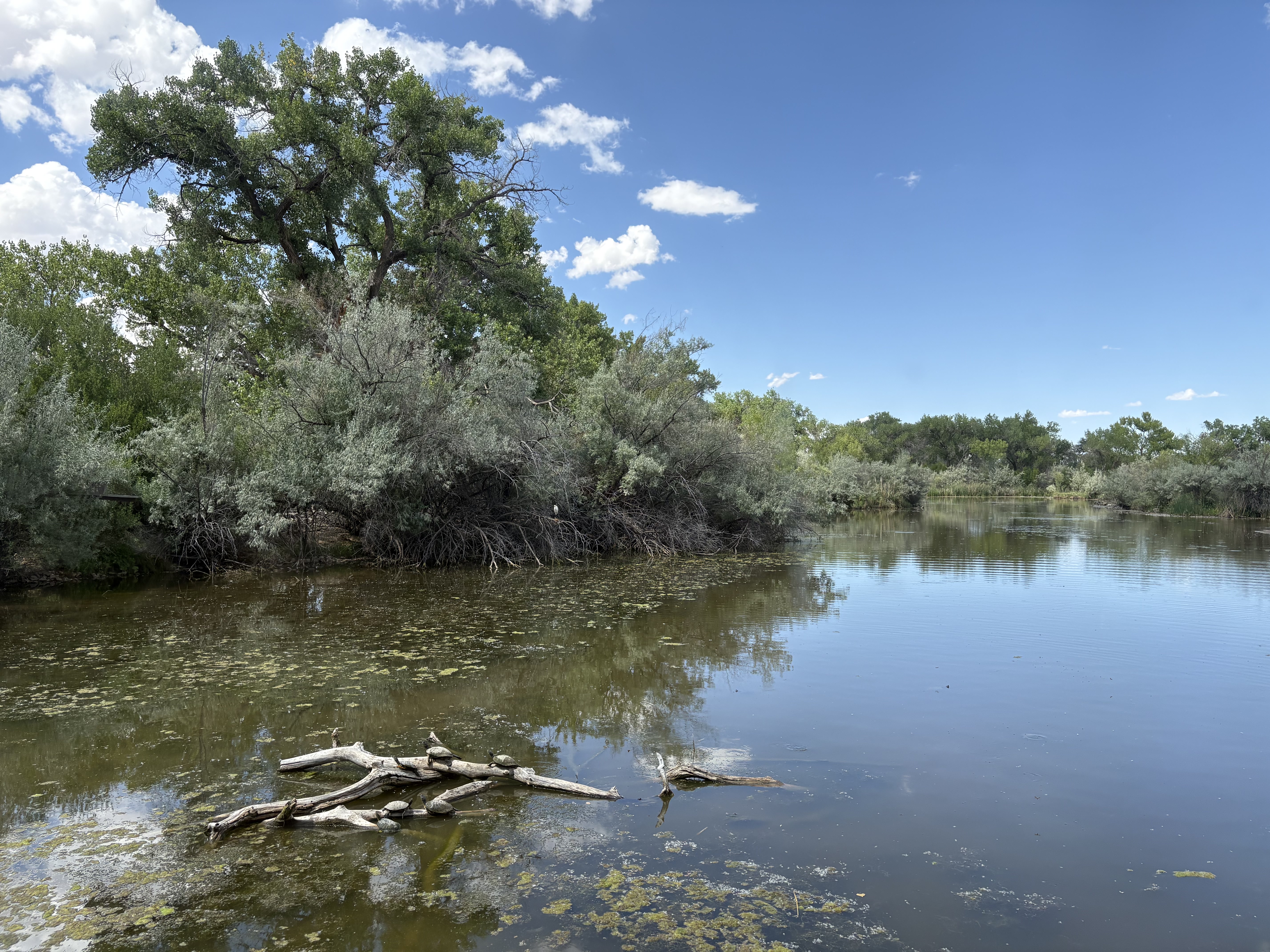 Scenic view of Rio Grande Nature Center State Park