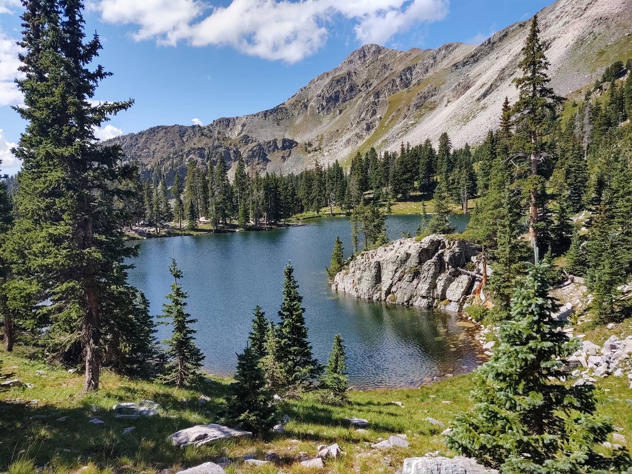 Scenic view of Santa Fe National Forest