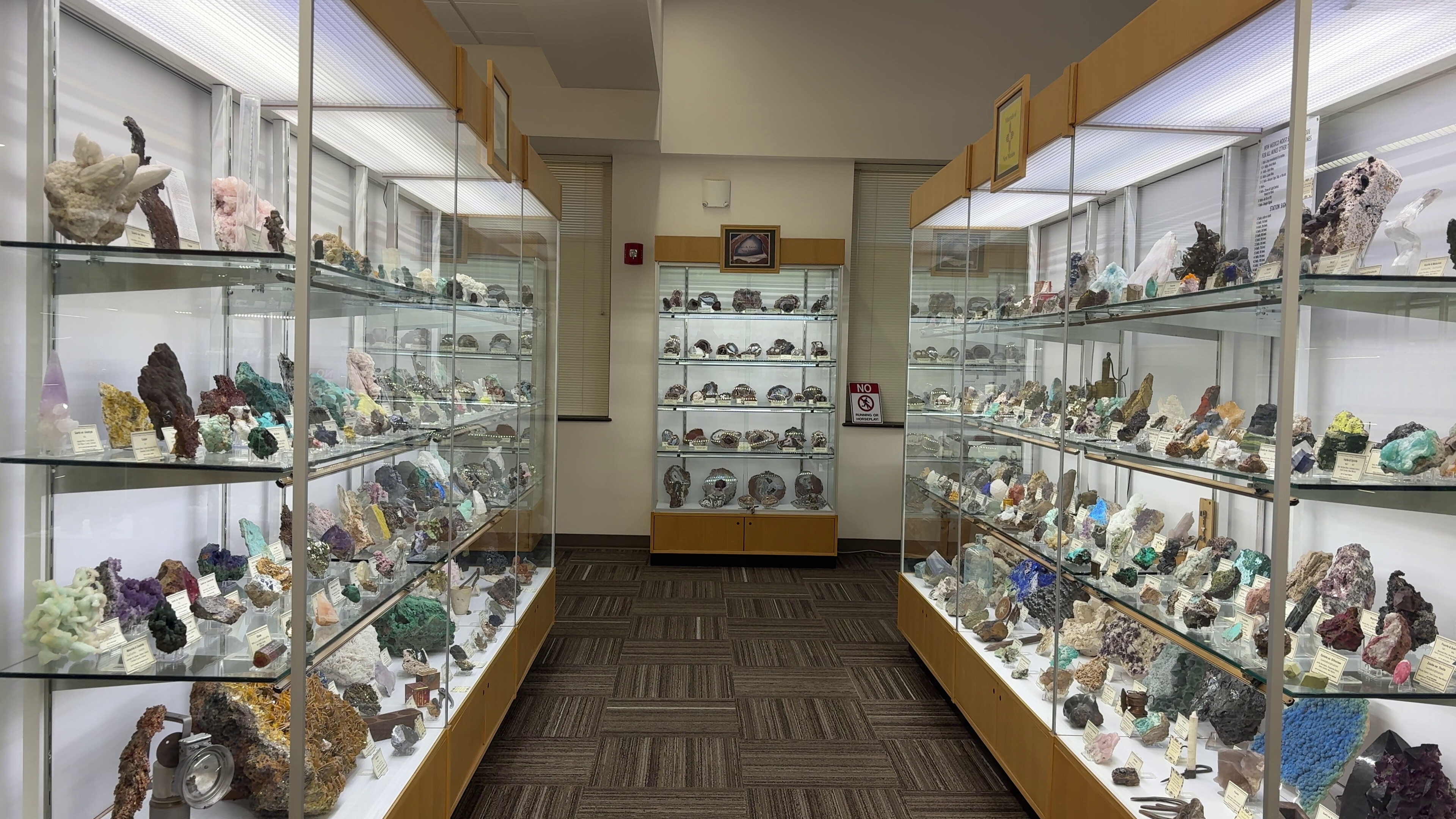Mineral displays at the New Mexico Tech Mineral Museum