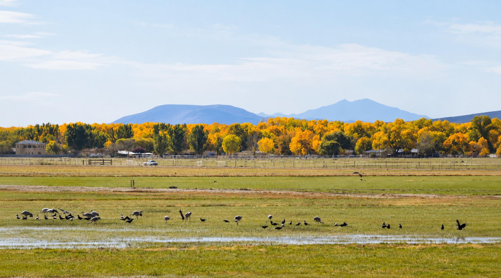 Scenic view of Valle de Oro National Wildlife Refuge
